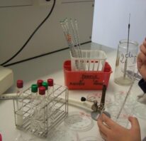 12380146_1098293763525546_102556157_n (1)