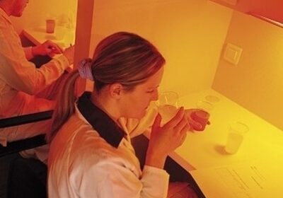 analyse_sensorielle1111