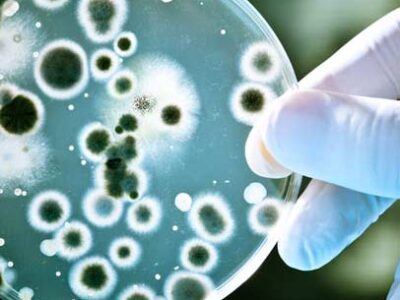 microbiologie_appliquee_aux_produits_cosmetiques-3